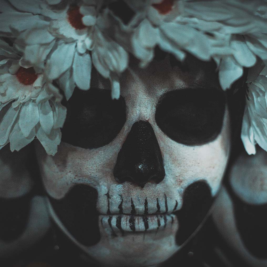 Vida & Muerte