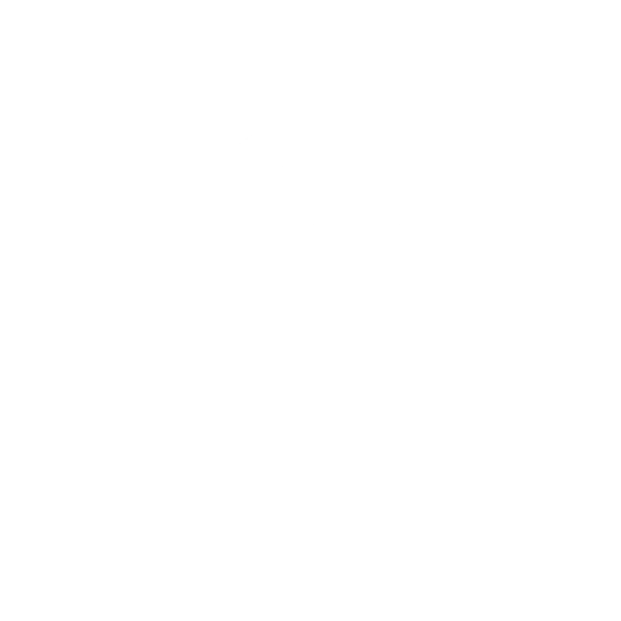 don pilar logo white